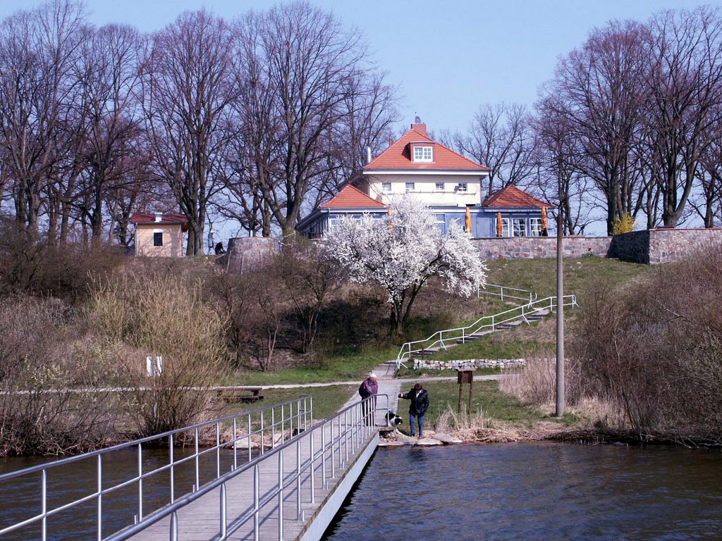 Frühling am Kap by Lothar Blank