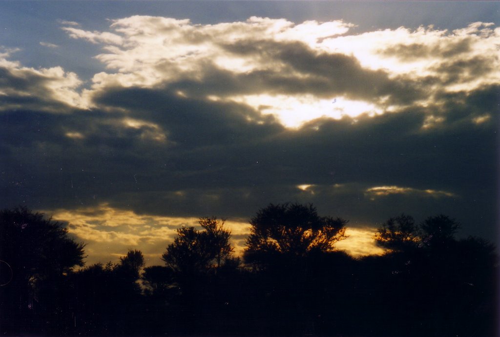 Atardecer en Serengeti by Ser Viajero