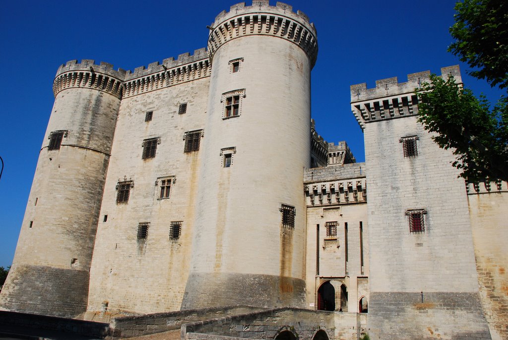 Castillo del Rey René by Ser Viajero