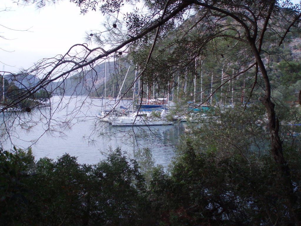 Kapi Bay, Turkey by Eric Nyssen