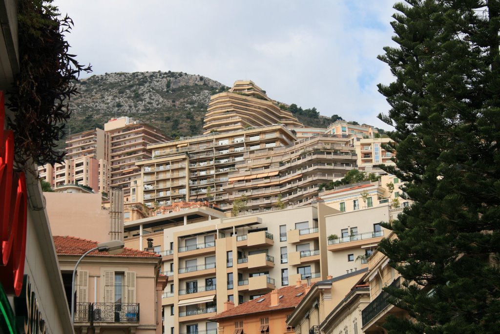 Montecarlo by angelo40