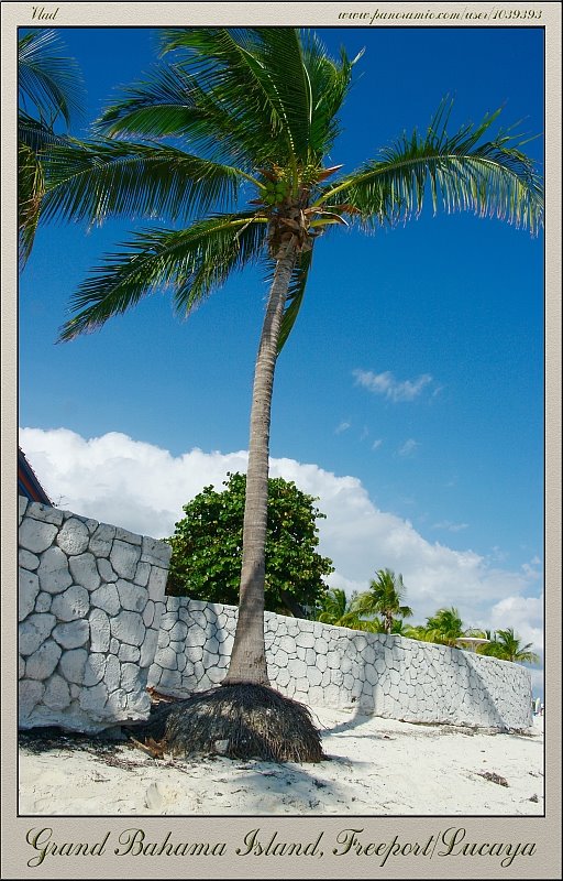 Freeport, The Bahamas by UTM Vlad