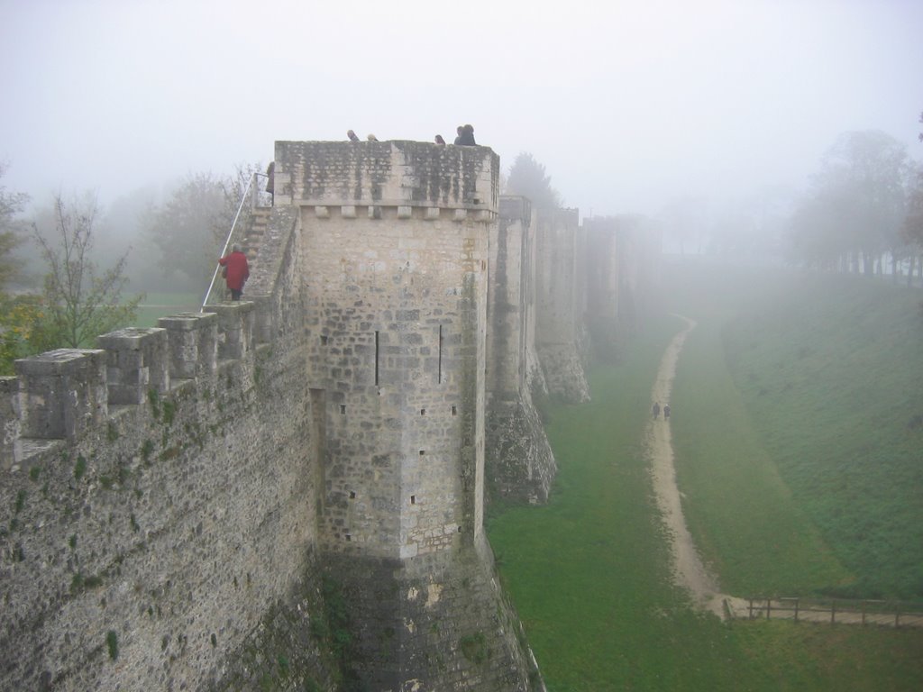 Brouillard sur les remparts by Dominique du Rouge C…