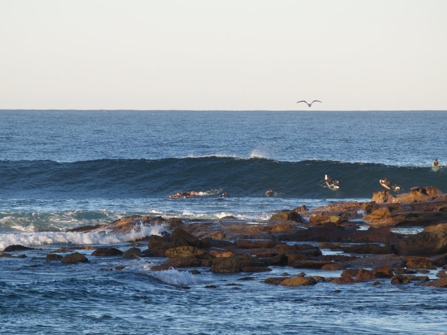 Surf off the rocks Dee Why by sjbruce