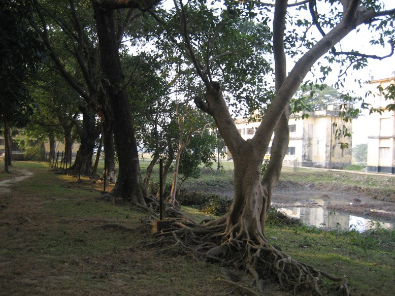 Sunamganj college, north west view © Mothiur by Mothiur