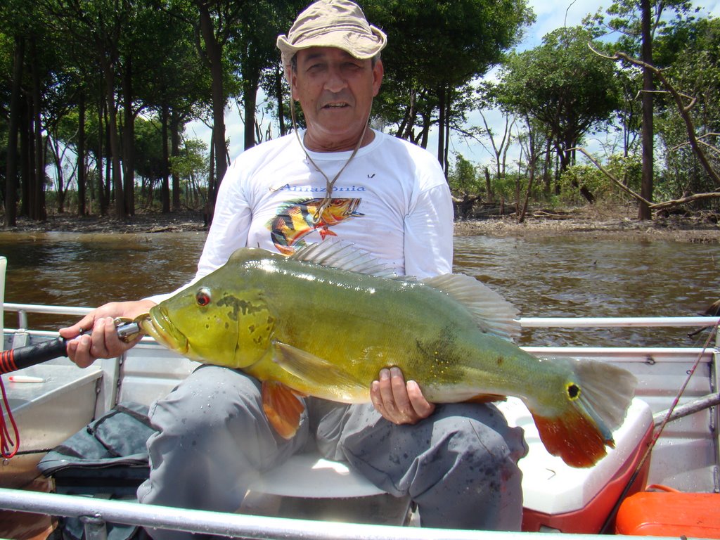 Meu record, Tucunaré Açú de 8,00 kg, no lago Caiuca, rio Jatapú, Amazonas (Pescaria organizada pela ORLANTOUR, www.orlantour.com.br, em outubro de 2008). by Paulo Noronha