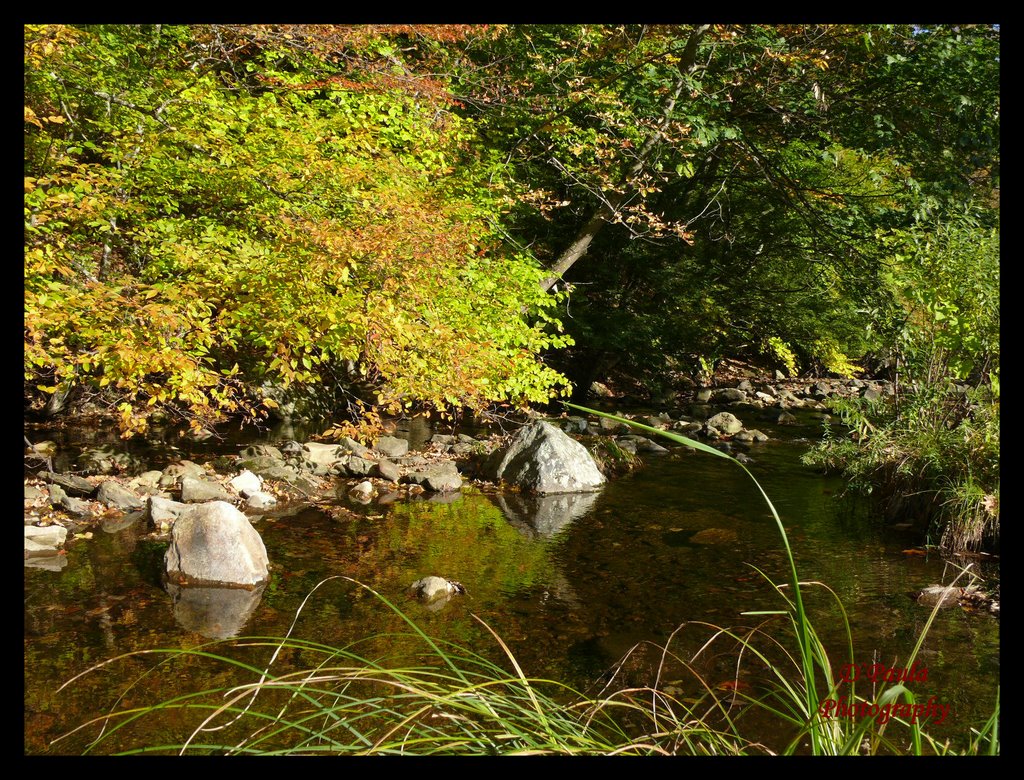 Kent Falls State Park by Ederaldo de Paula