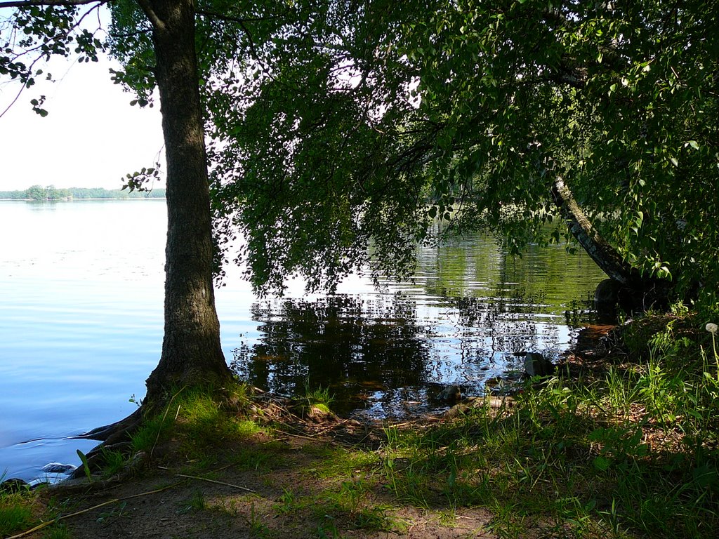 Pähkinäniemi,Virkkala,Lohja by Matti Henrik