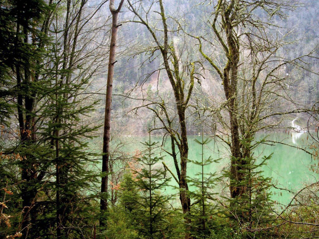 14780 Bölücekova/Göynük/Bolu, Turkey by turquoise-cix