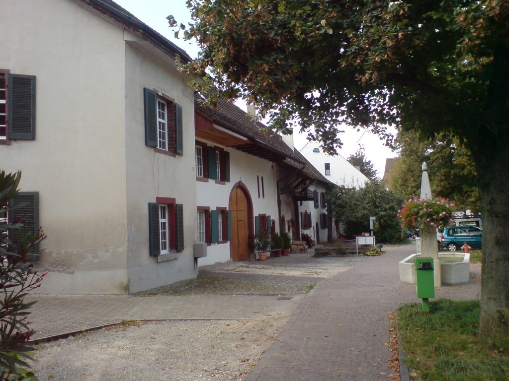 Oberdorf Bauernhausmuseum by muttenz