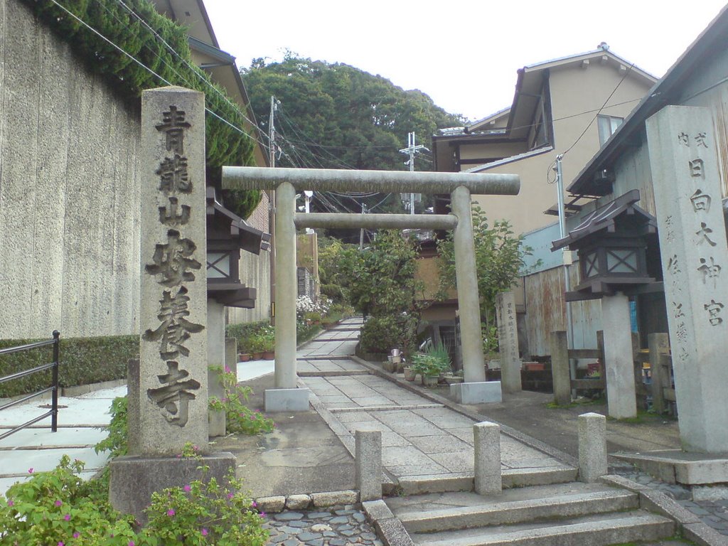 Sakyo Ward, Kyoto, Kyoto Prefecture, Japan by オカチ