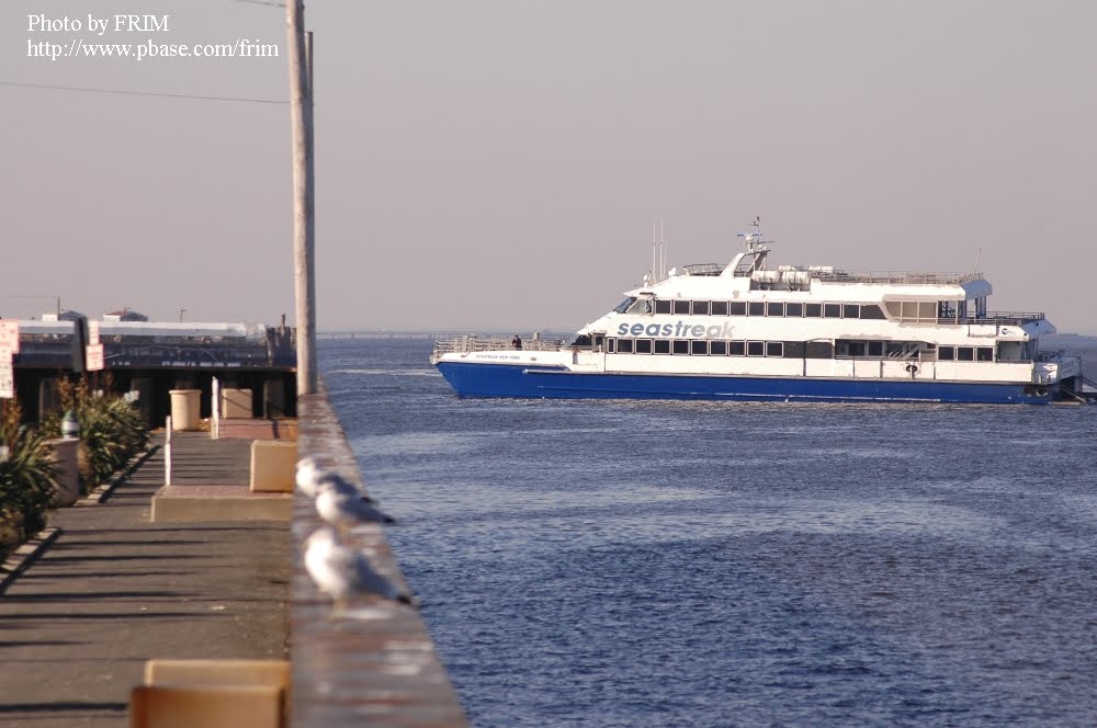 SeaStreak Ferry by F RIM