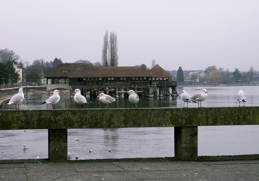 Bodensee, Rorschach by gokidesign