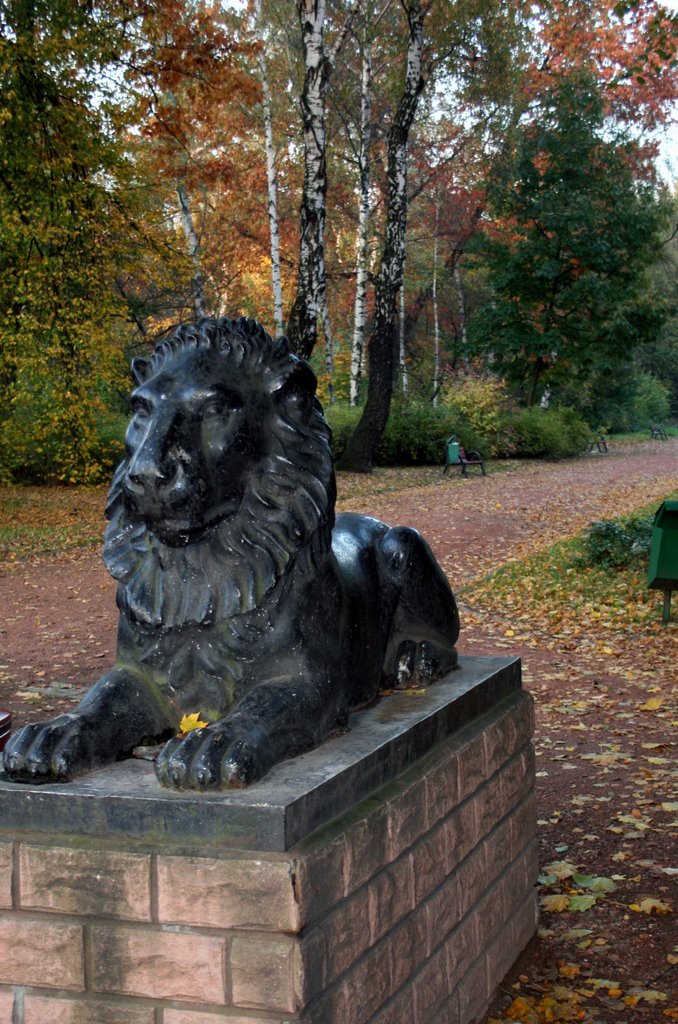 Śląsk zielony. Zabrze: park leśny by Krzysztof [uksp]