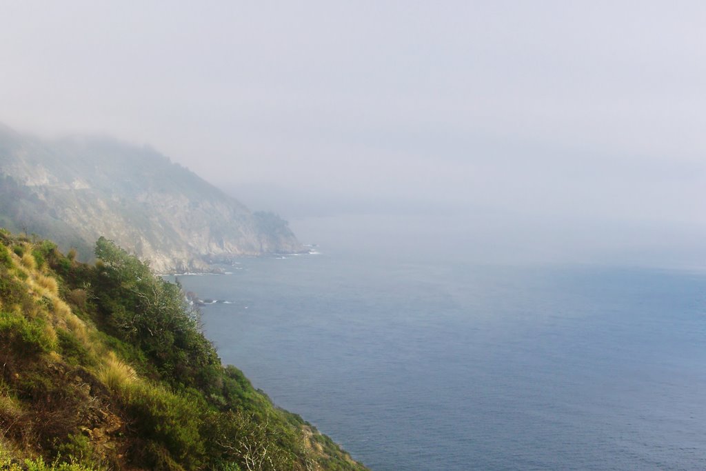 Big Sur Mist by Basil Ganglia