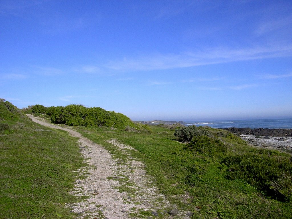 Grotto Bay by Tillie