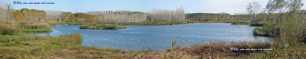 Estany de Sils (La Selva, Catalunya) by silsdelaselva