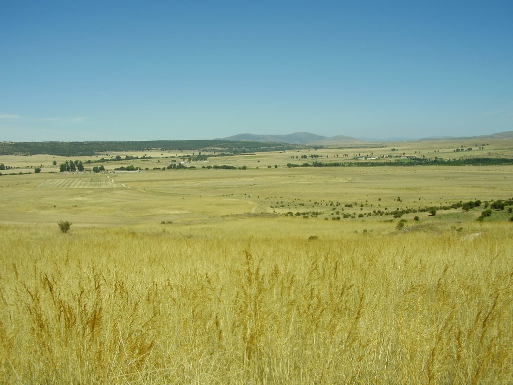 Campos de Avila by Ismael Pérez