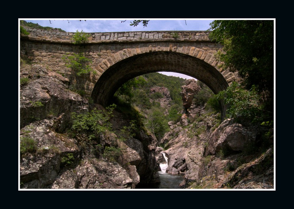 Fej a híd alatt - Head under the bridge by Székely Levente