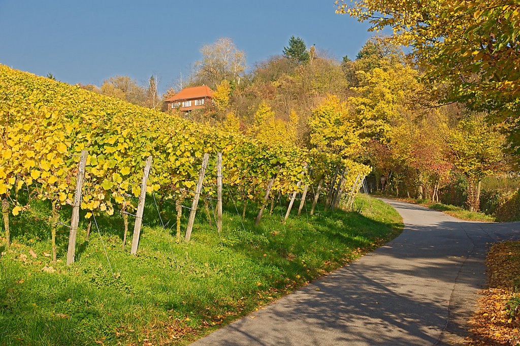 Herbst in der Kalkgasse by stollem