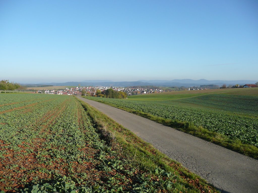 Blick auf Villingendorf by Ulmanito