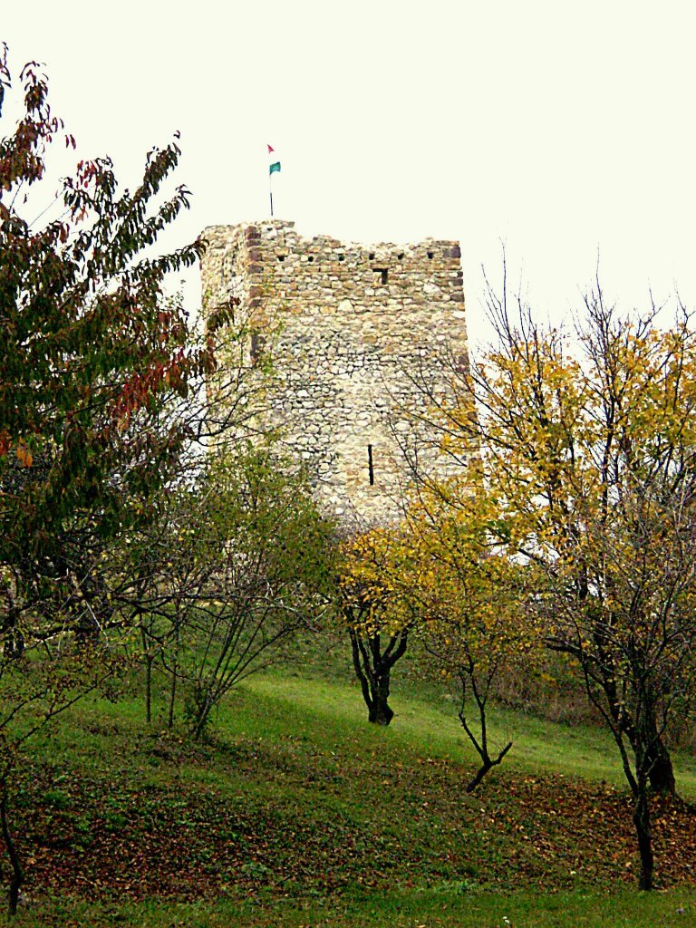 Esseg vár 1 ... Ruins of "Esseg" by LaszloKata