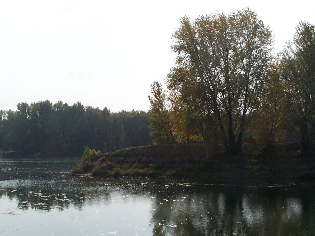 Šaľa, Slovakia by Bibiana Papp