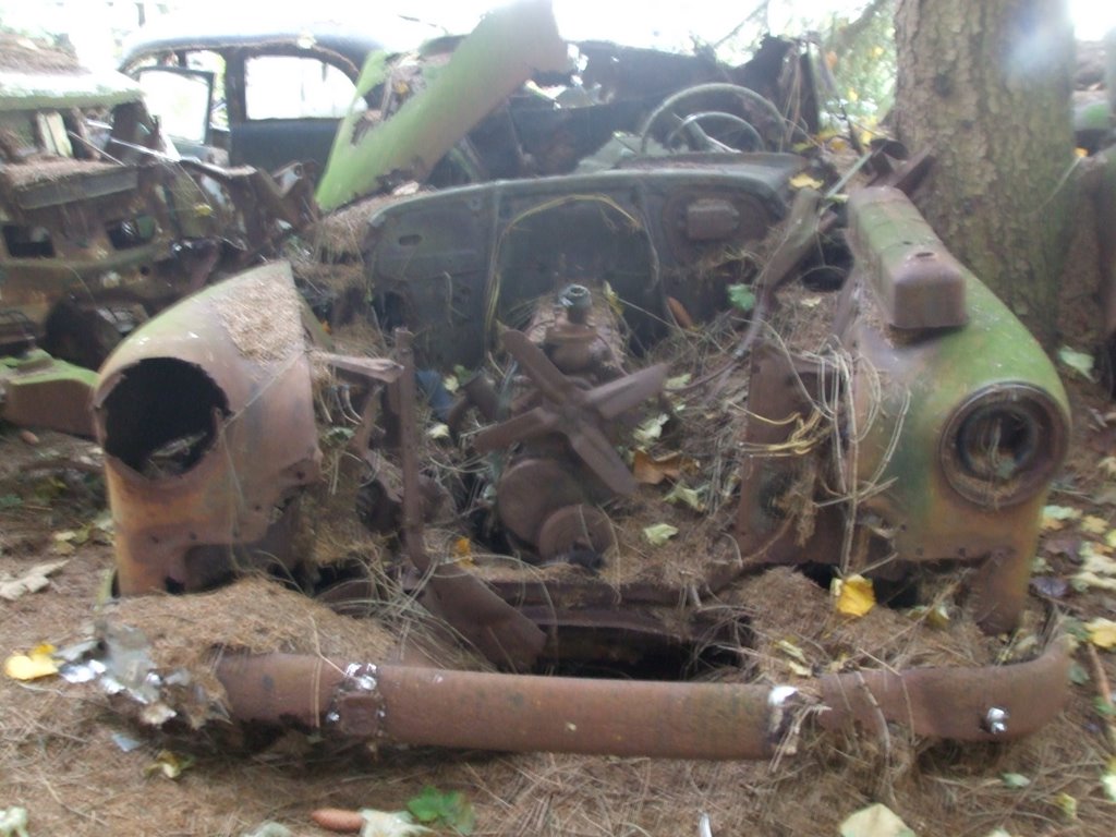 Cimetière de +-200 vieilles voitures by POM Belgium