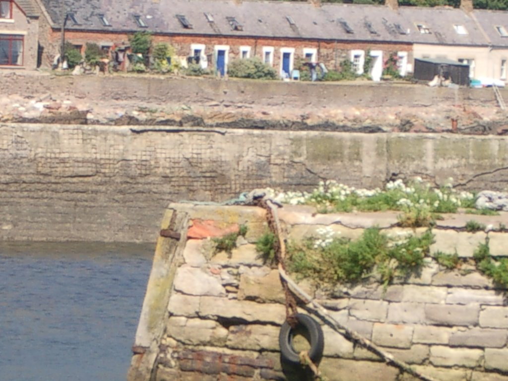 Partanhall from harbour by Jonathan_Edinburgh