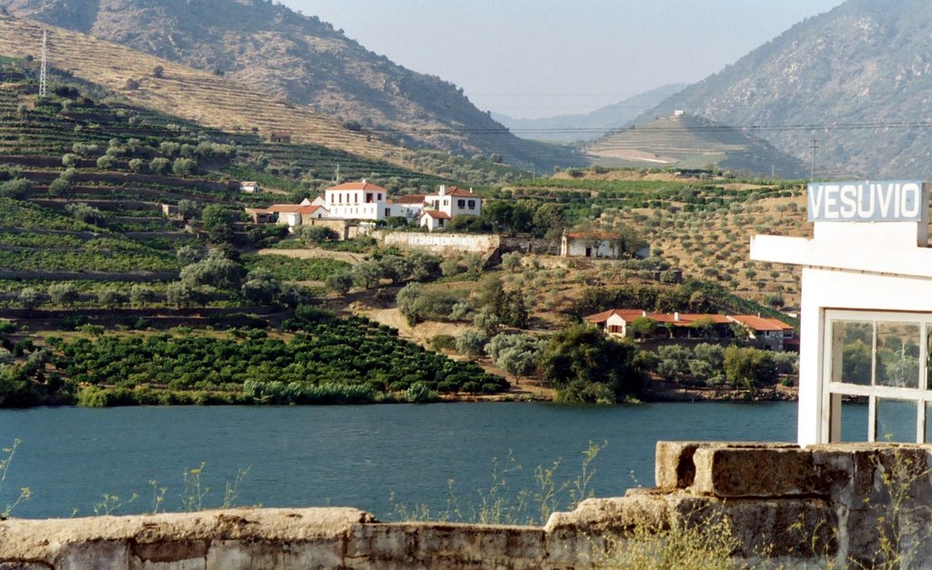 Douro - Quinta da Senhora da Ribeira by Luis Bondoso