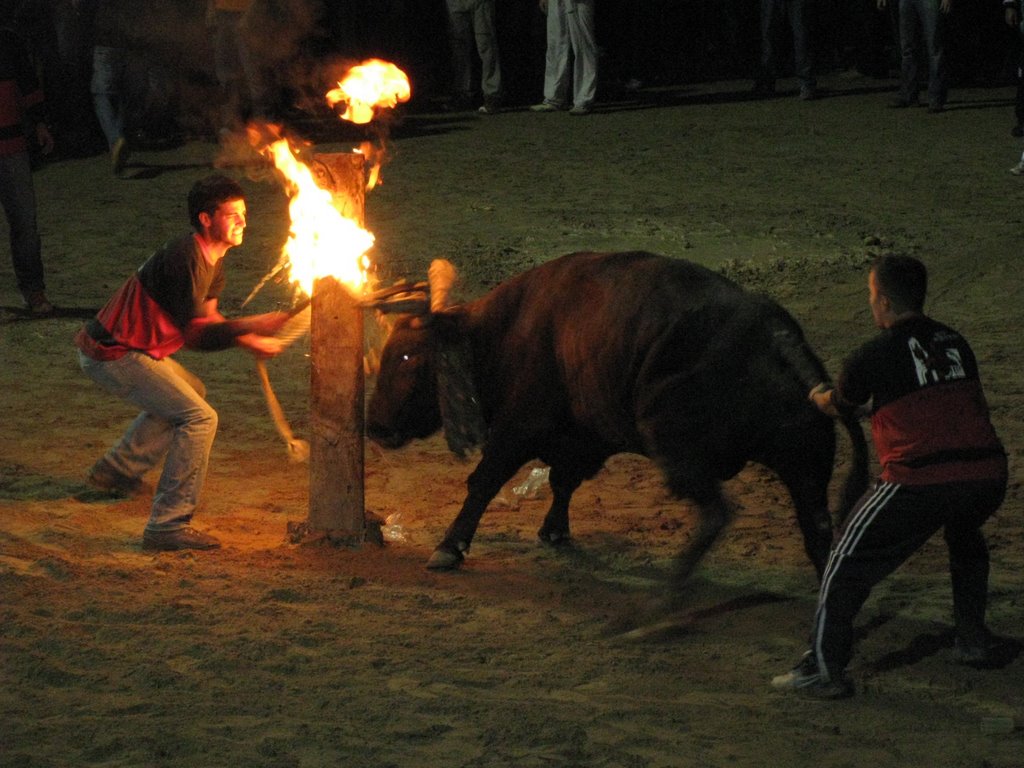 Embolando un toro by J.Gargallo