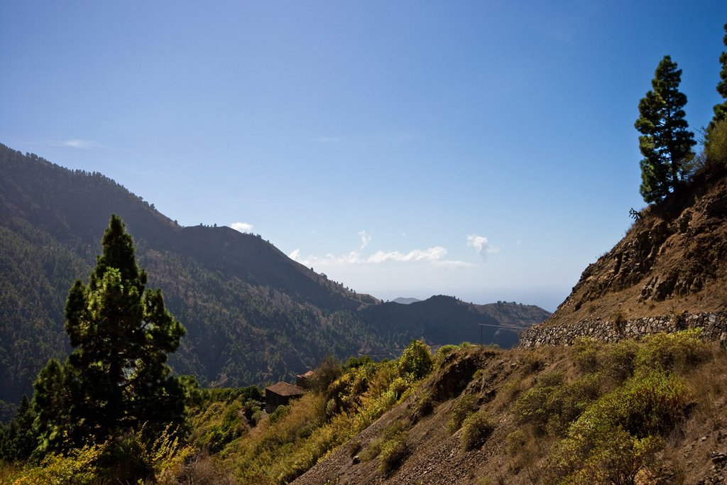 La Palma, Spain by Green Knee