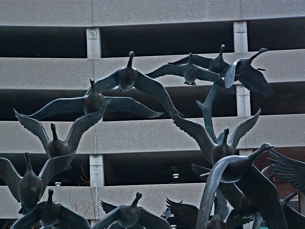 Flight of Metal Ducks by RCHaubert