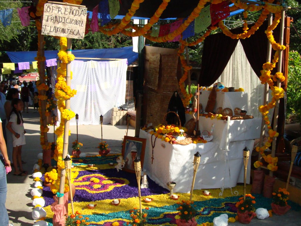 Ofrenda Iguala 2008 dia de Muertos 2 by IgualaWeb