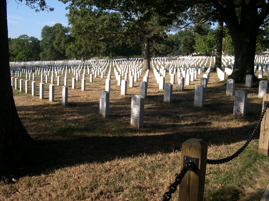 Arlington National Cemetery by Corrado Leto