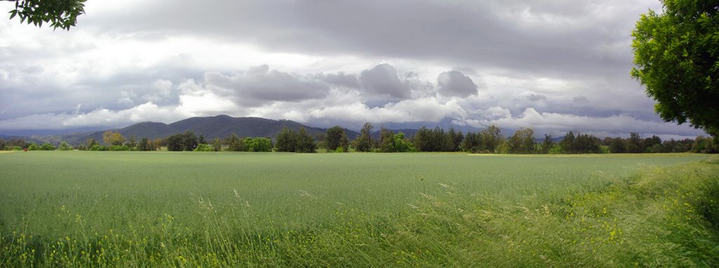 Wentworth Mounds from Calala Lane - After a Storm by Michael Gill