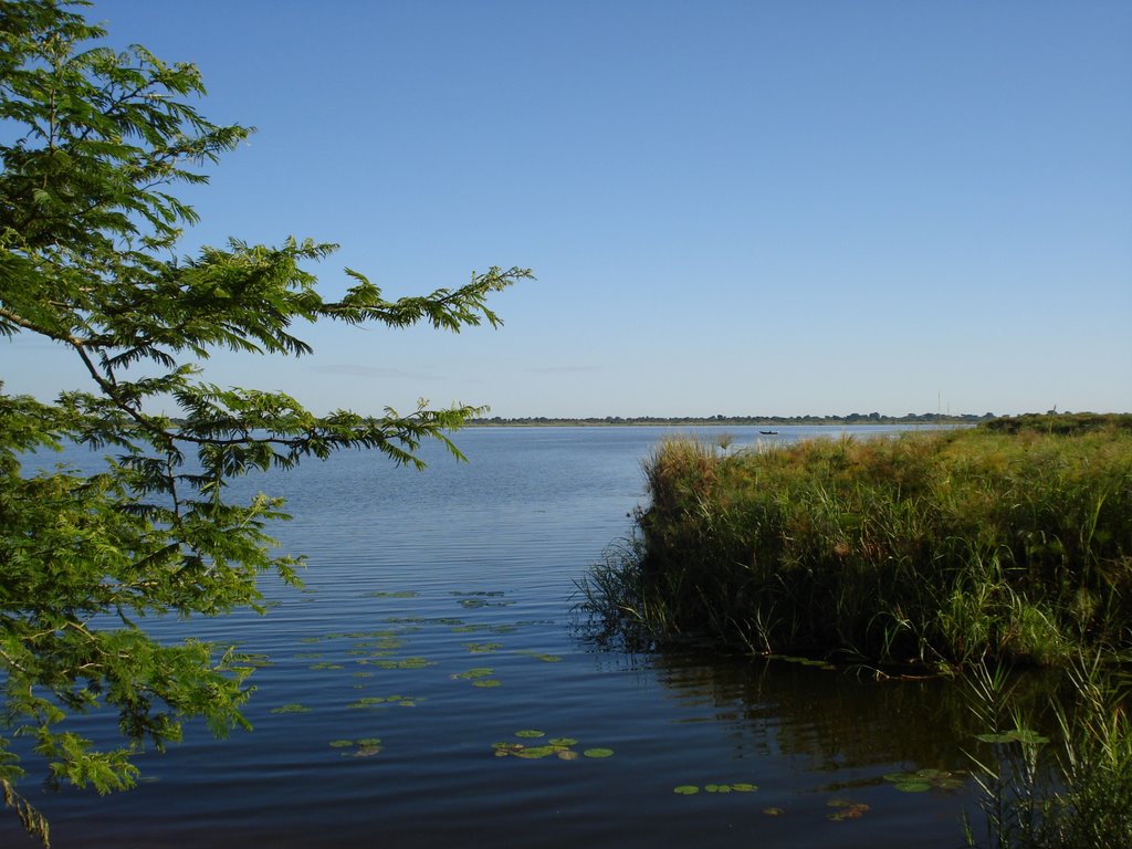 Lake Kyoga by boneccher