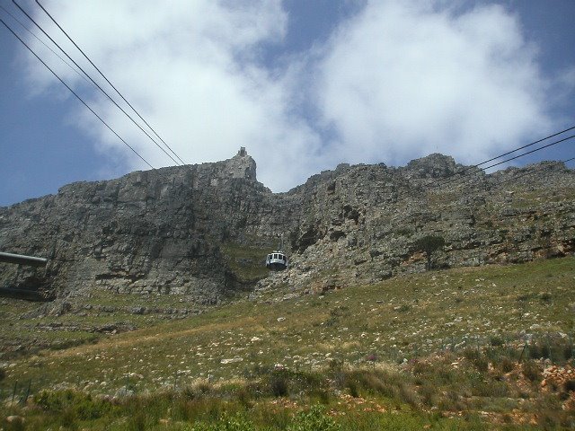 Table Mountain (Nature Reserve), Cape Town, South Africa by Mária Adrien Horváth