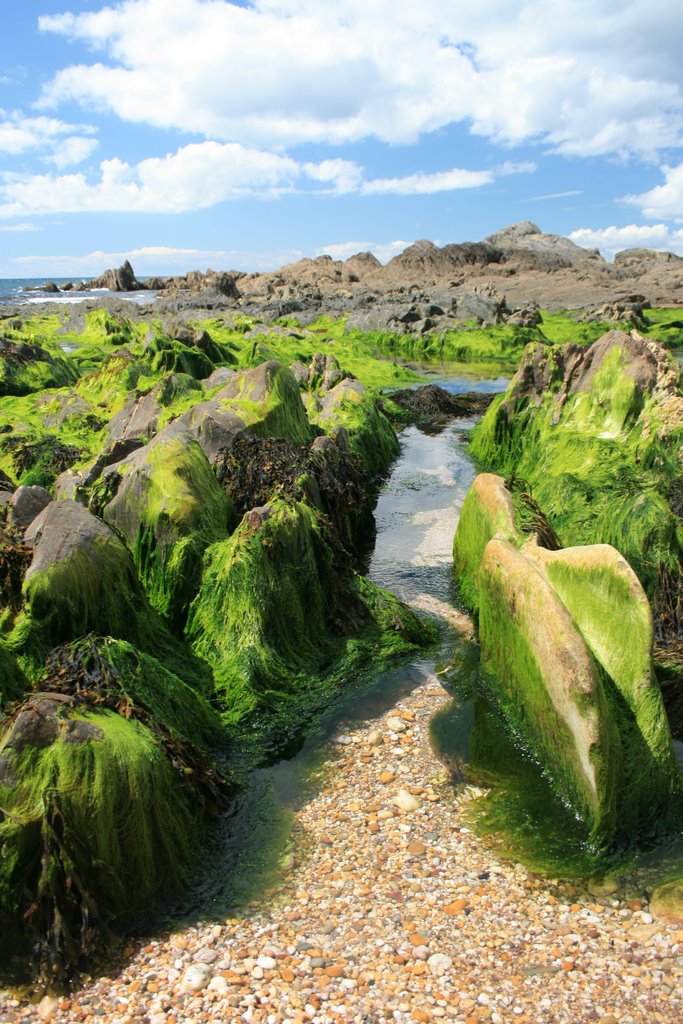 Tide's out. Devon. by T Le Croix