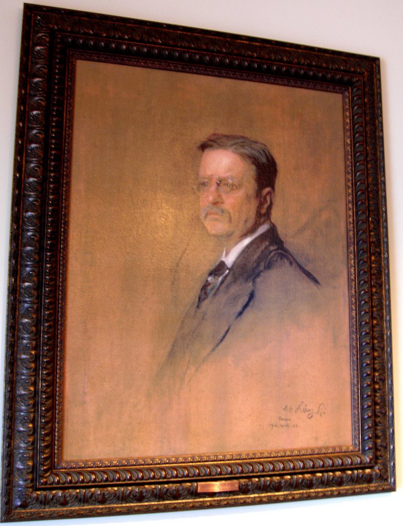 A portrait of Teddy Roosevelt by MAL10587