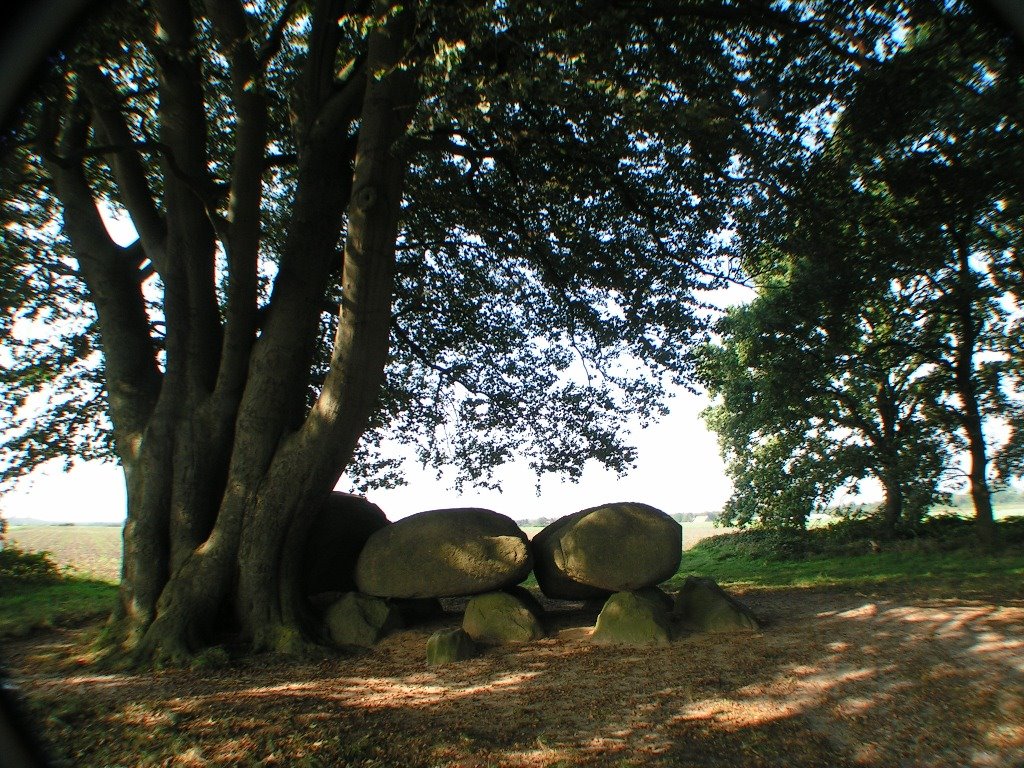 *Bronneger: hunebed D21 (dolmen) by Hans Briaire