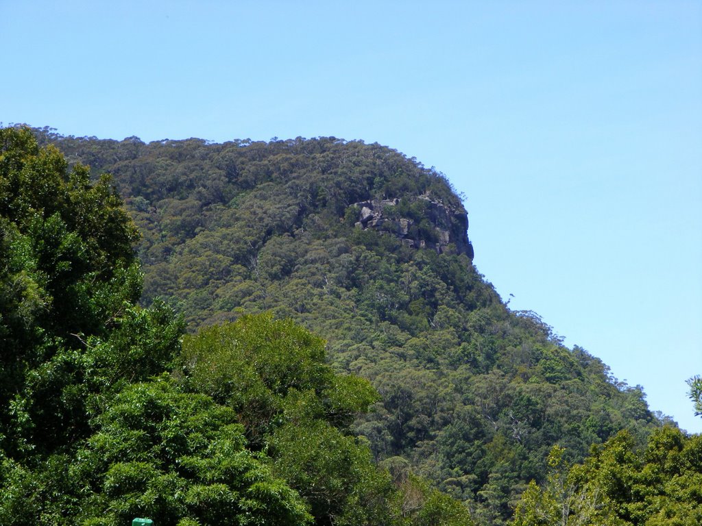 Mt Keira from Scout Camp by Alan Farlow