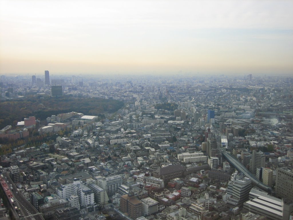 View from Park Hyatt Tokyo by ewerard christian