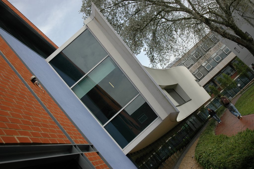 Hartley Library, University of Southampton by The Python