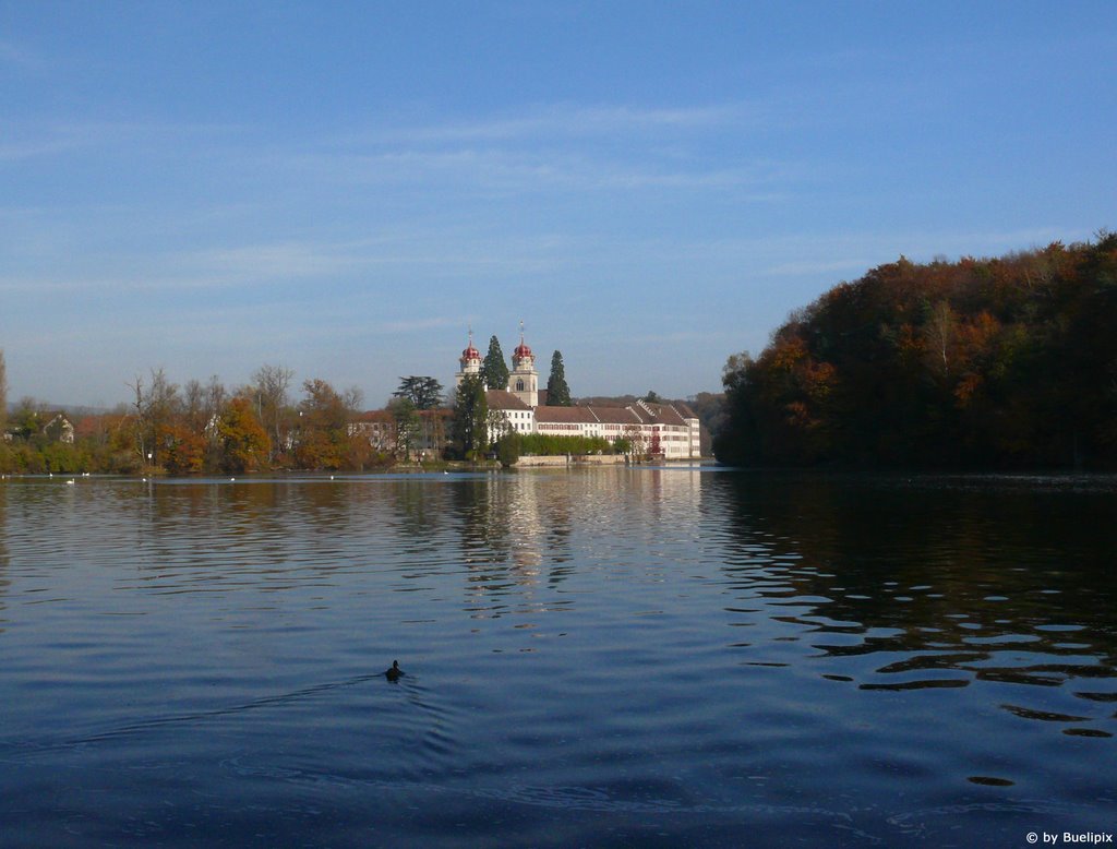 Rheinau, Benediktinerkloster by Buelipix