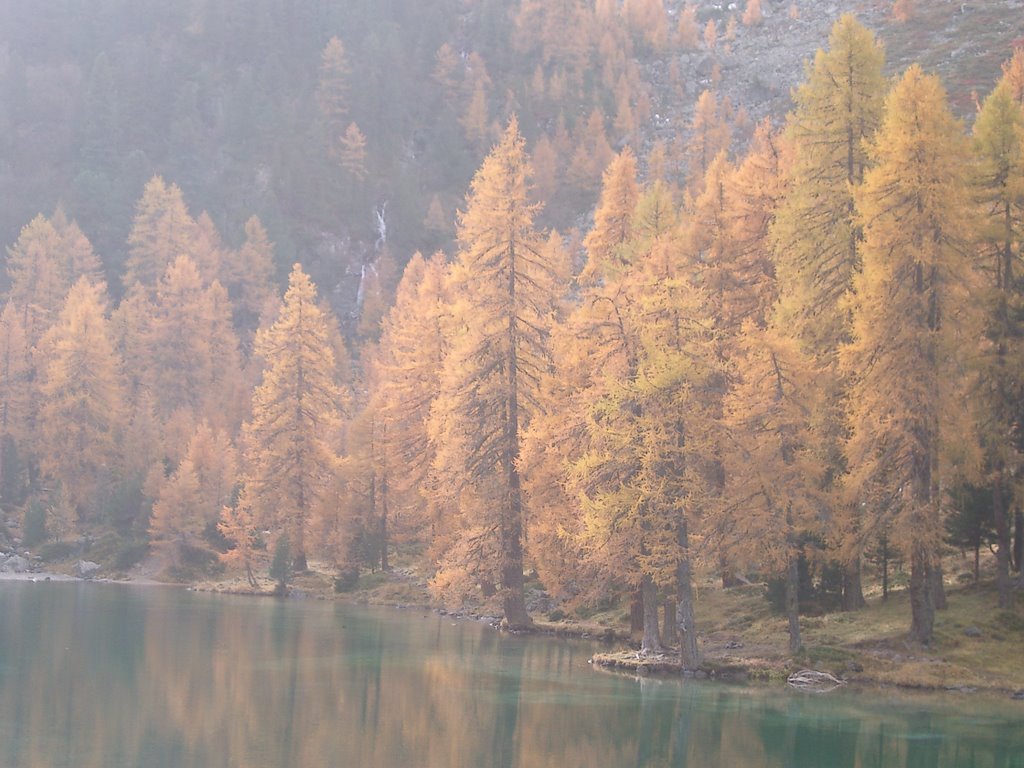 Palpuogna-Lake in autummist by dorothee