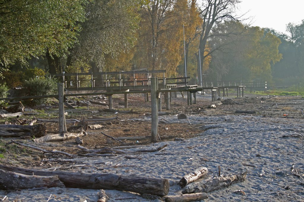 Herbst am Bodensee by joob