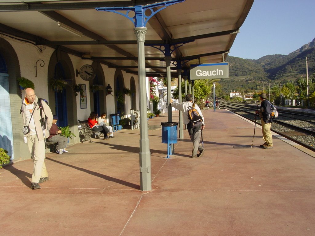 Estación de el Colmenar by J. Casillas