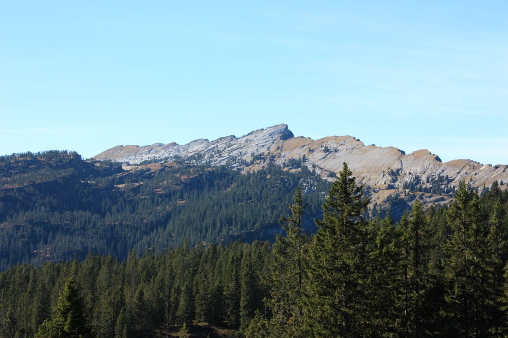 Trogenalp mit Blick auf die sieben Hengste by chr mächler