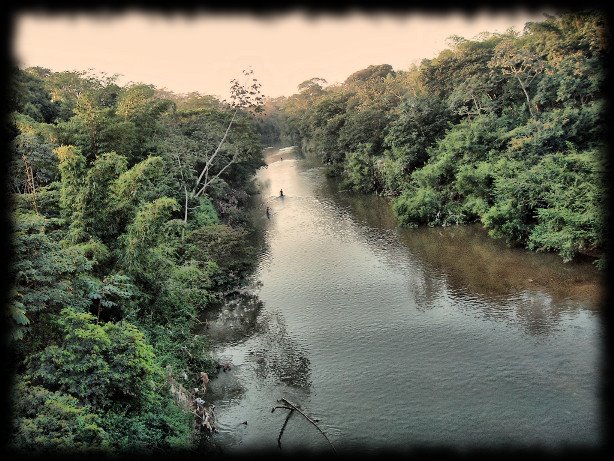 Rio Coxipó by henriquecaetano